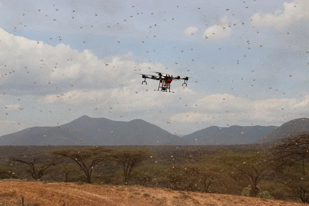 Astral Aerial — Drones in Locust Control: Putting Theory Into Action.